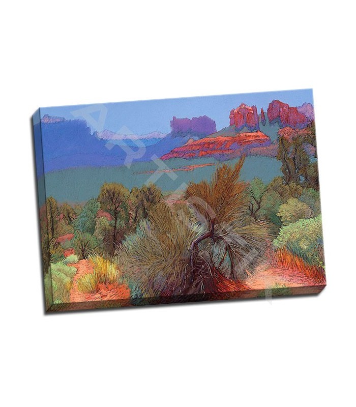 High Desert Slika na Platnu by Mary Silverwood