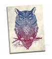 Warrior Owl - Caldwell, Rachel