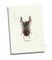 Beetle Red - GraphINC